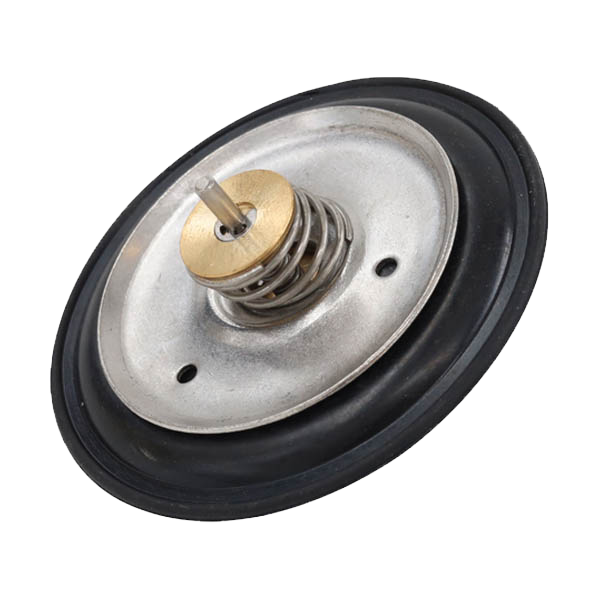Worimex Spareparts Repair Kit Wolab Diaphragm Kit 60mm Baymak, Baxi
