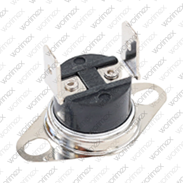 Worimex Spareparts Thermostat Limit BDR Control 100 Degree