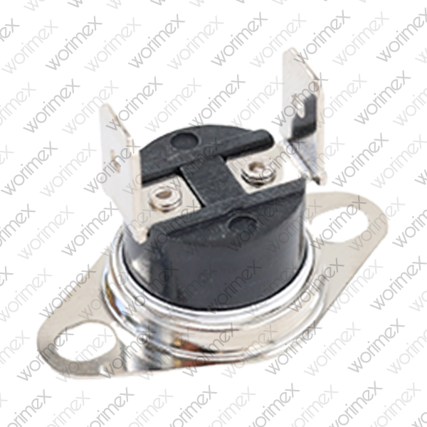 Worimex Spareparts Thermostat Limit BDR Control 100 Degree - 2