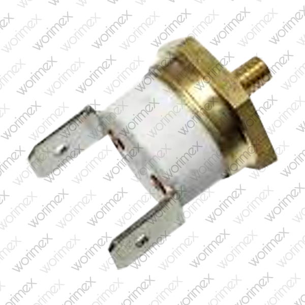 Worimex Spareparts Thermostat Limit BDR Control 105 Degree With Screw 87229638580