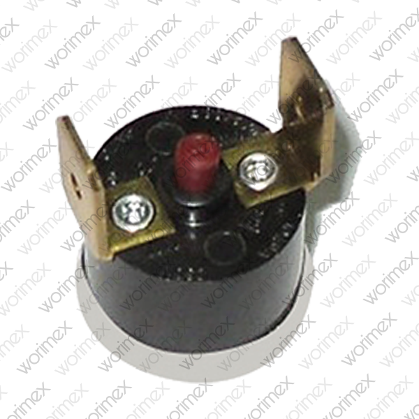 Worimex Spareparts Thermostat Limit BDR Control 130D With Connection Part