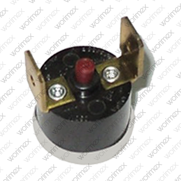 Worimex Spareparts Thermostat Limit BDR Control 72D With Connection Part