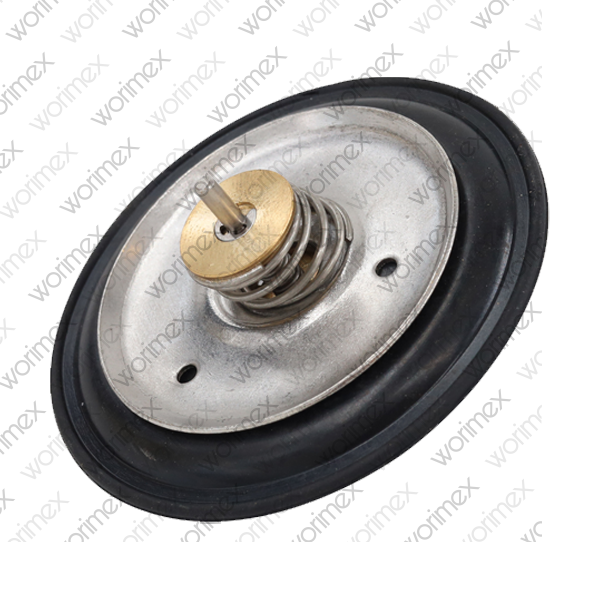 Worimex Spareparts Repair Kit Wolab Diaphragm Kit 46mm Immergas, Worcester 87161405530