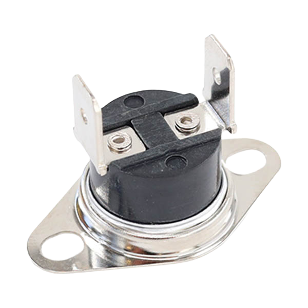 Worimex Spareparts Thermostat Limit BDR Control 90 Degree